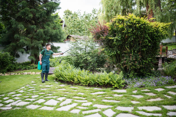 Best Emergency Pest Control  in Jefferson, OR