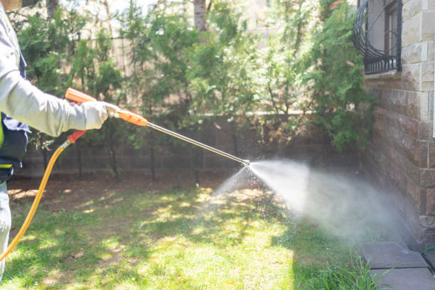Best Residential Pest Control  in Jefferson, OR