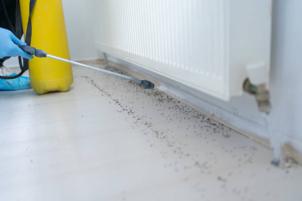 Best Affordable Pest Control Services  in Jefferson, OR