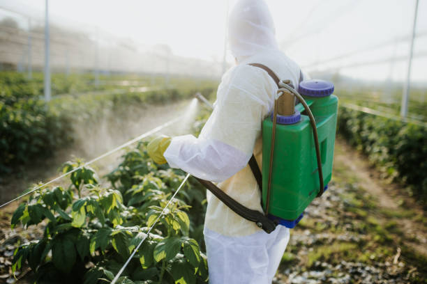 Best Local Pest Control Services  in Jefferson, OR